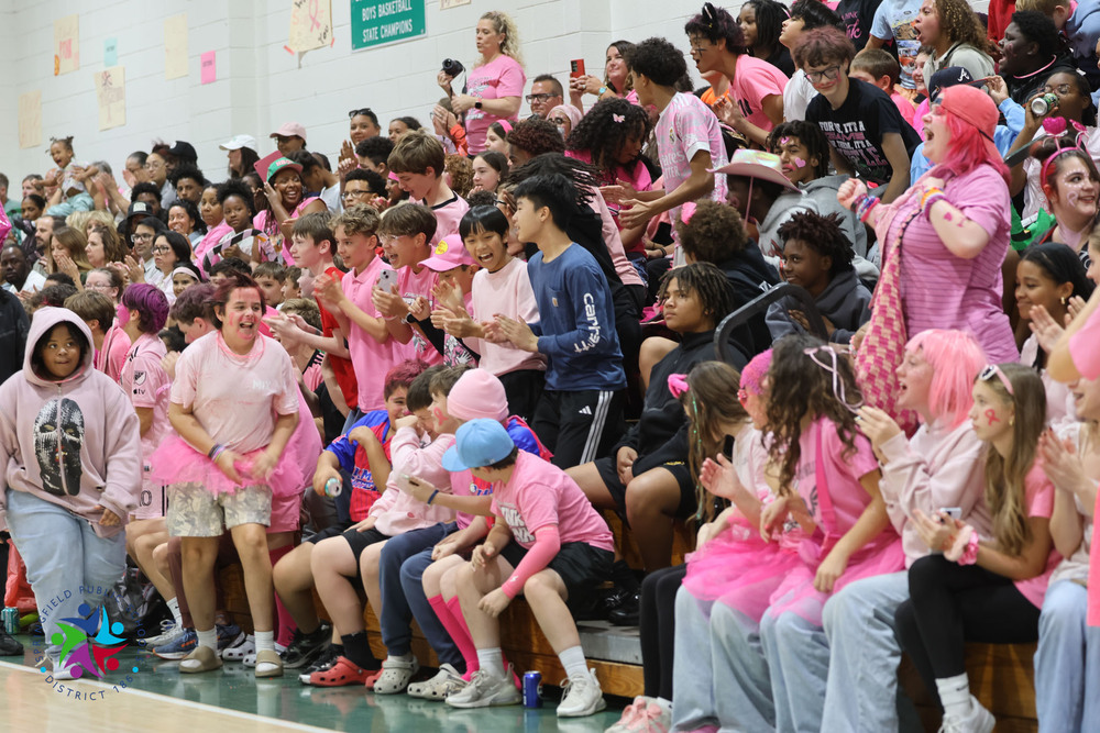 PINK CROWD