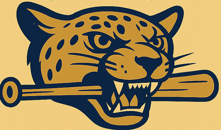 WMS/JMS Baseball