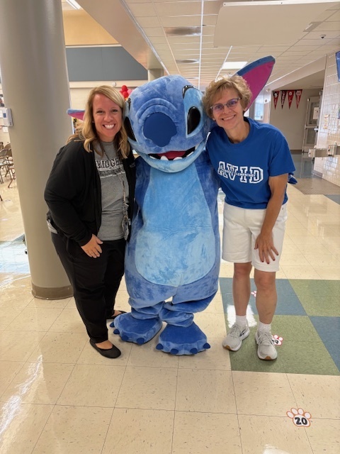 Stitch
