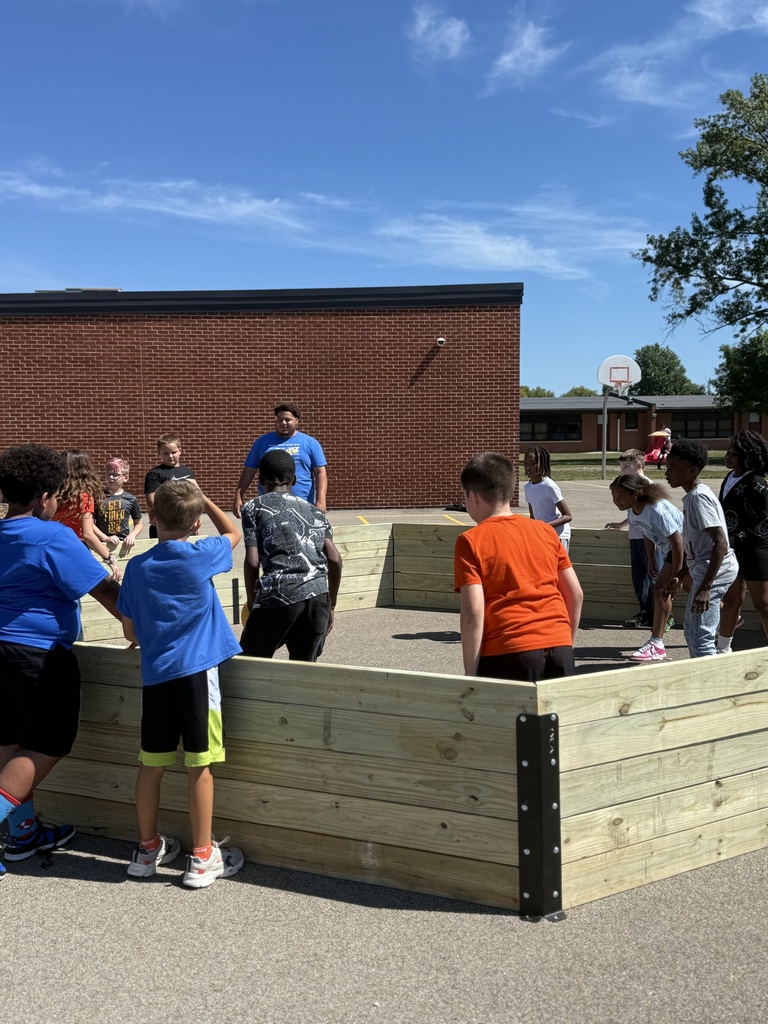 Gaga Ball Pit 