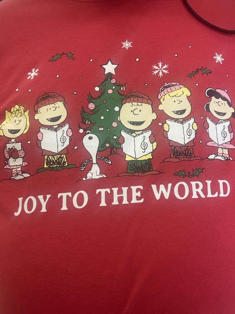 Mr Linehan’s shirt