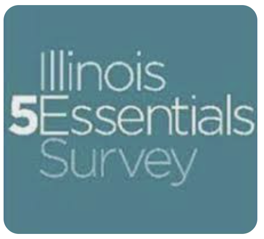 5Essentials Survey