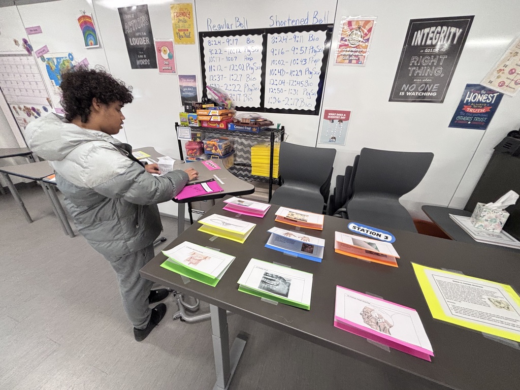 Students doing evolution lab