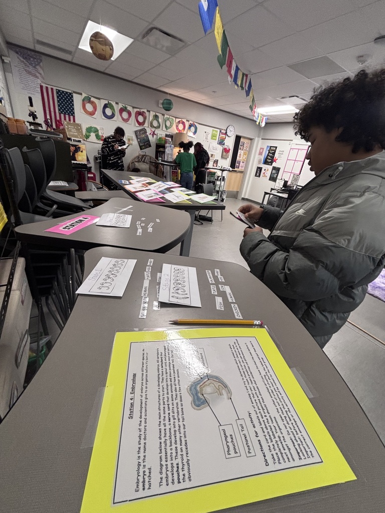 Students doing evolution lab