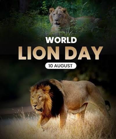 World Lion Day