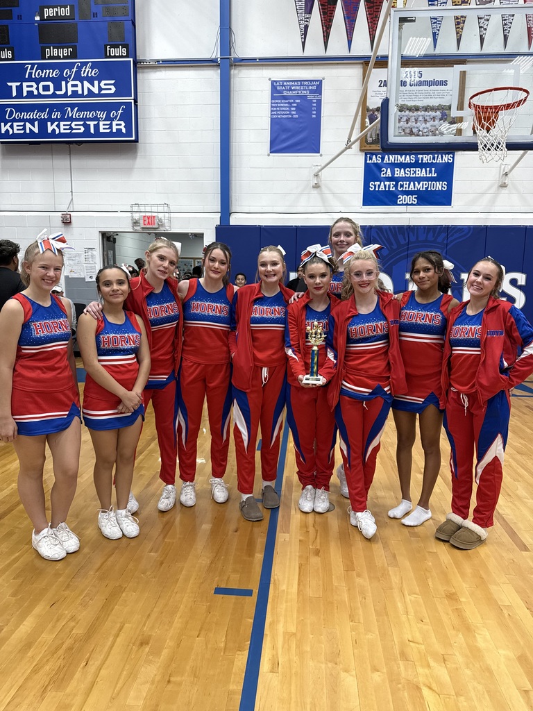 HS Cheer - 2nd Place