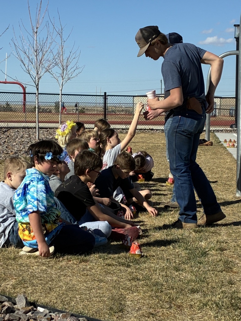 picture of students sitting on grass