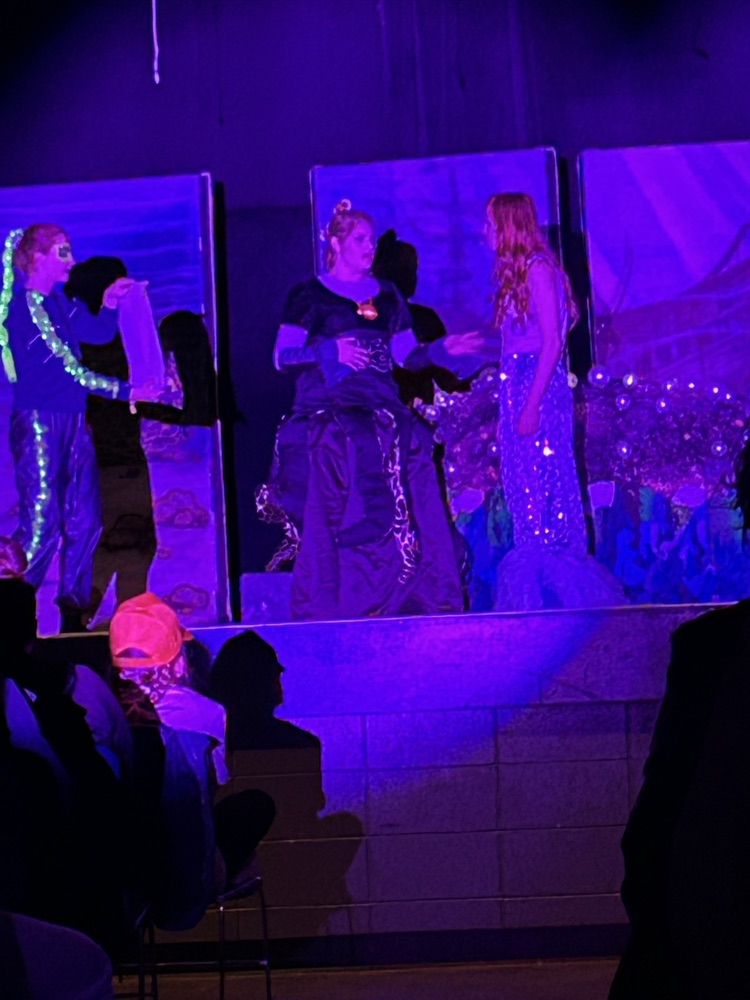 The Little Mermaid 2026