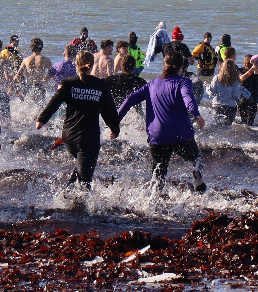 Polar plunge