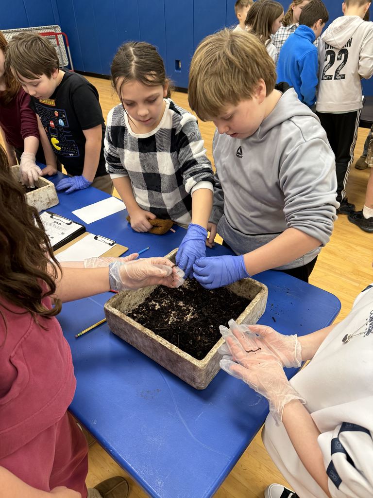 students dig in dirt