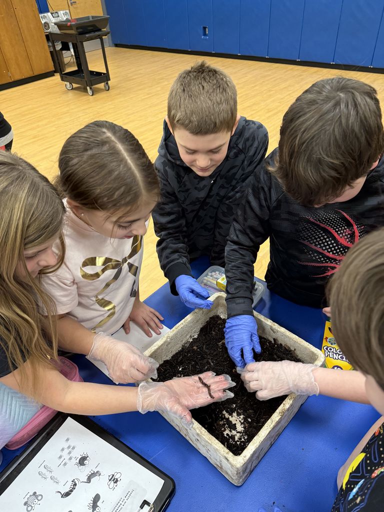 students dig in dirt