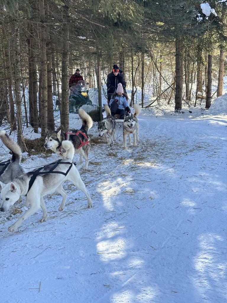 dog sledding