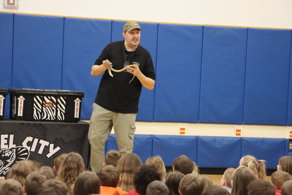 students see a legless lizard
