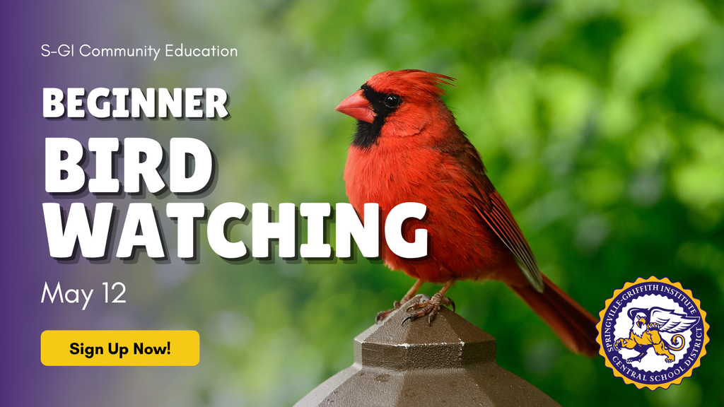 bird watching