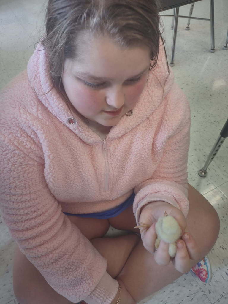 student holds a chick