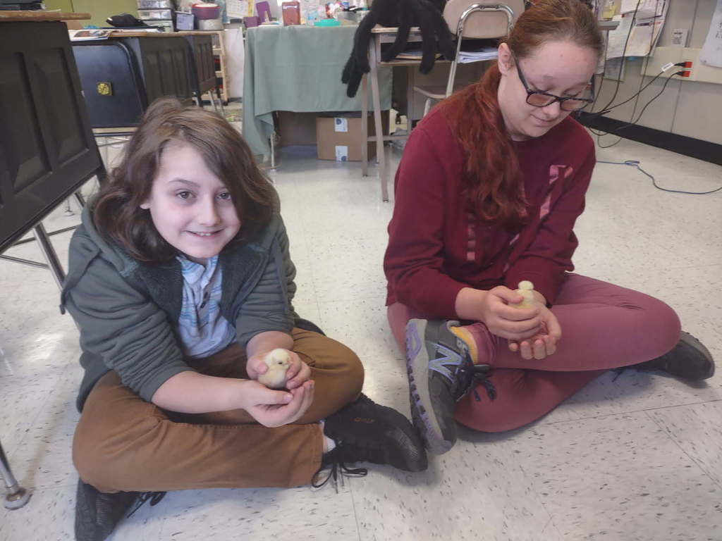 students hold chicks