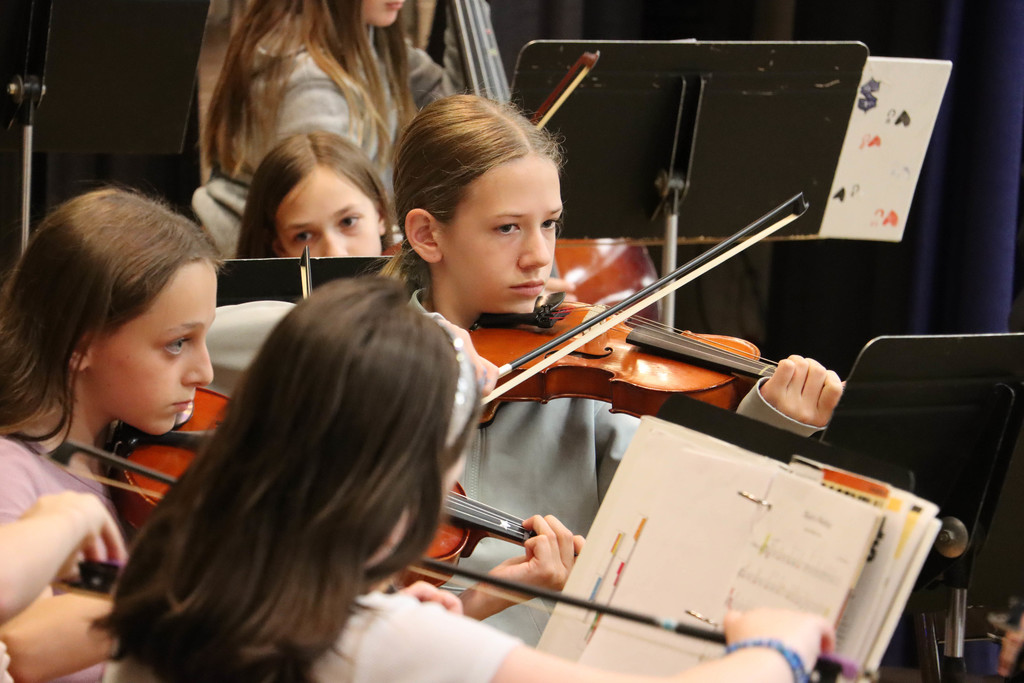 Violins