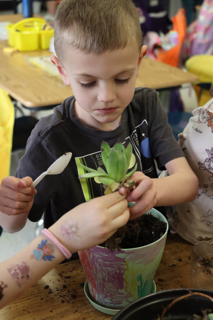 A student plants a plant. 