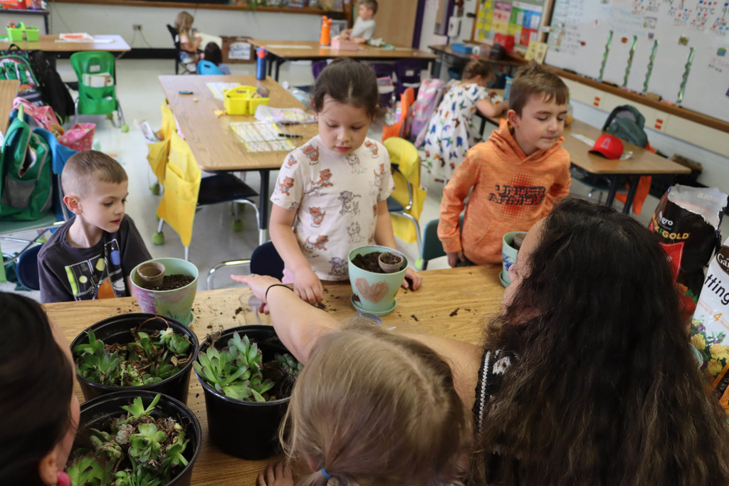 Students plant succulents in their pots. 