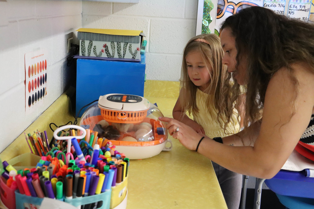 Mrs. Caldwell points to an egg that will hatch soon as a student looks on. 