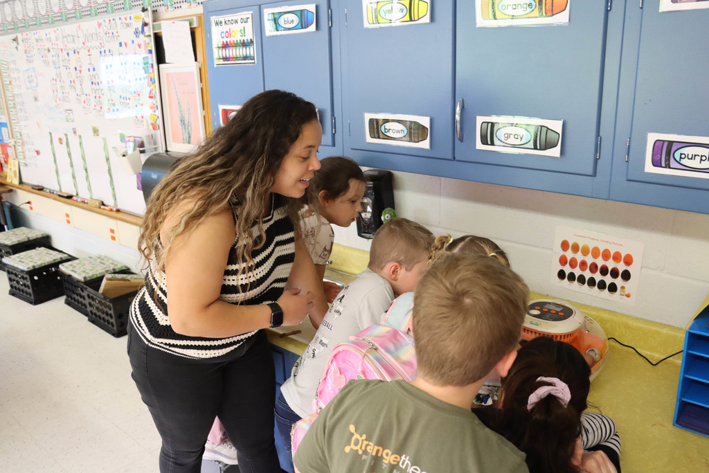 Mrs. Caldwell and students look at the chicks in the incubator.