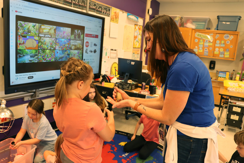 Mrs. Russell shows a student a chick.