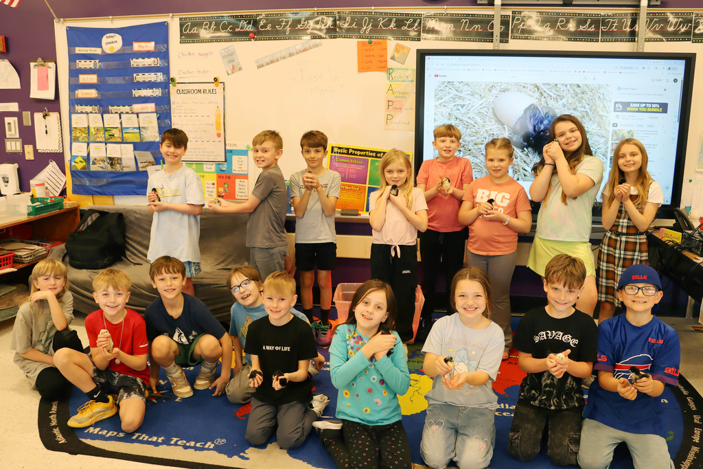The students hold the chicks.
