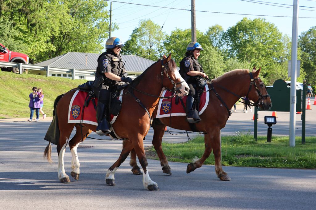 Two Sheriff's Mounted Unit. 