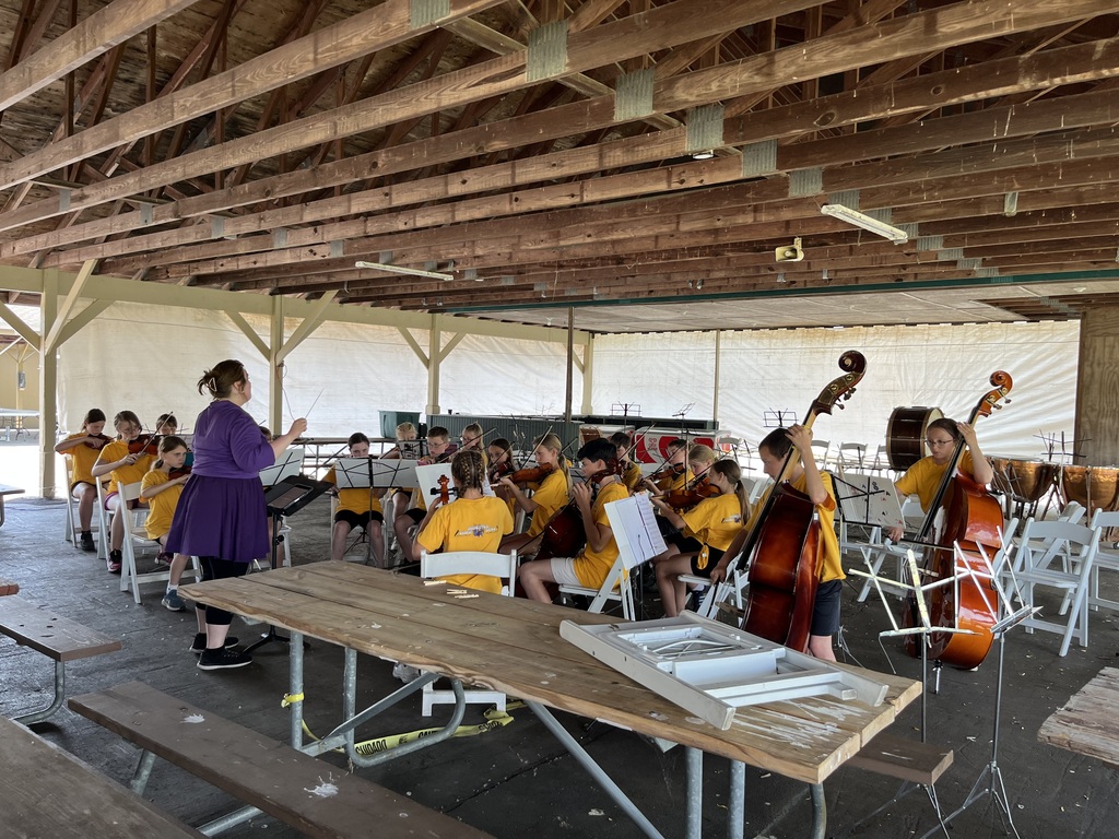 Orchestra