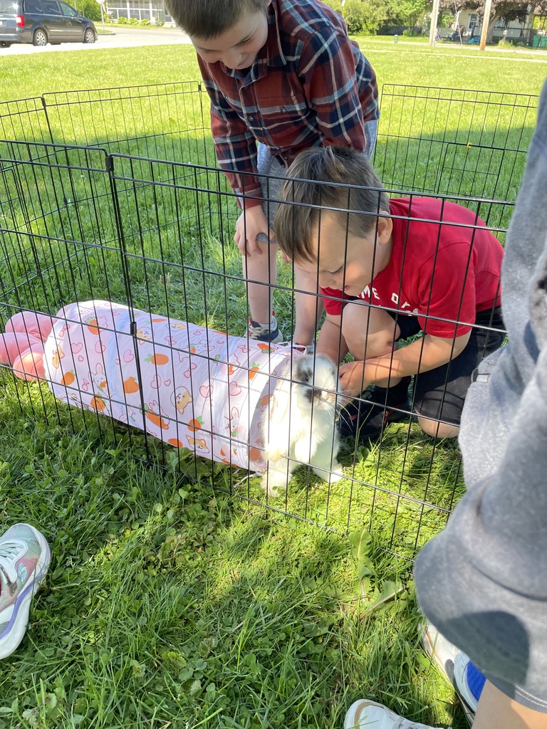 Student pets a rabbit. 