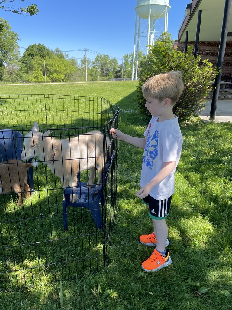 Student pets a goat. 