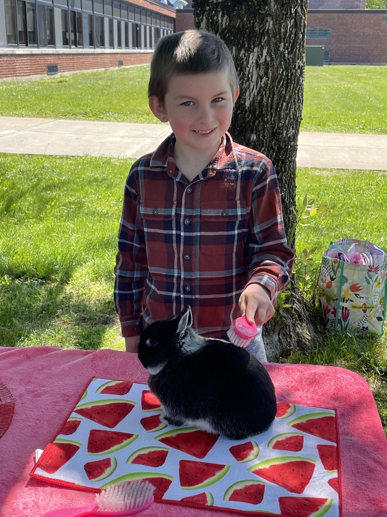 Student pets a rabbit. 