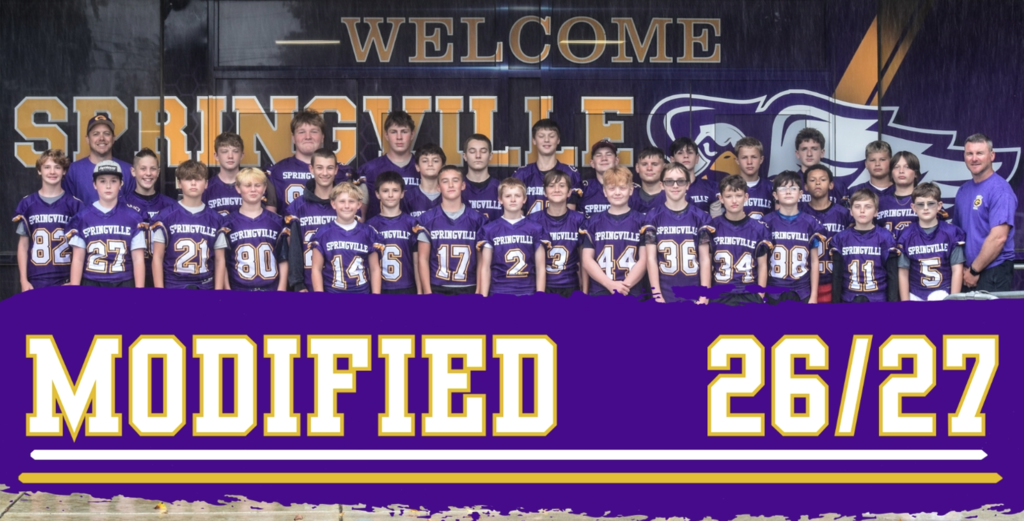 modified football