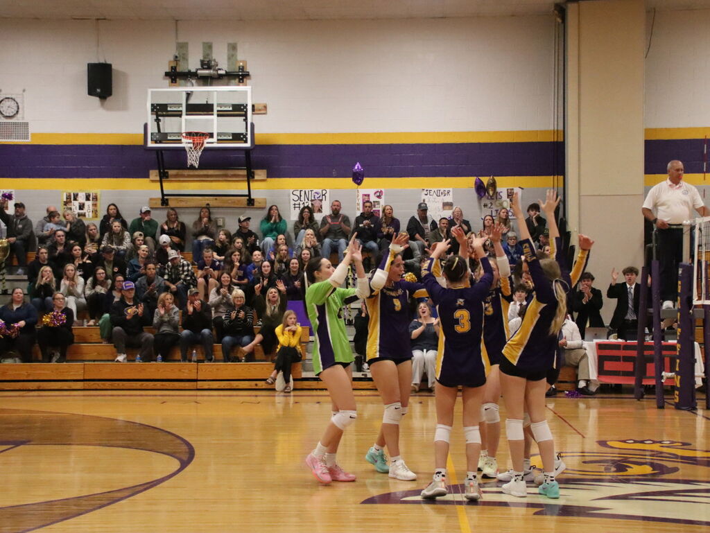 volleyball players at a game