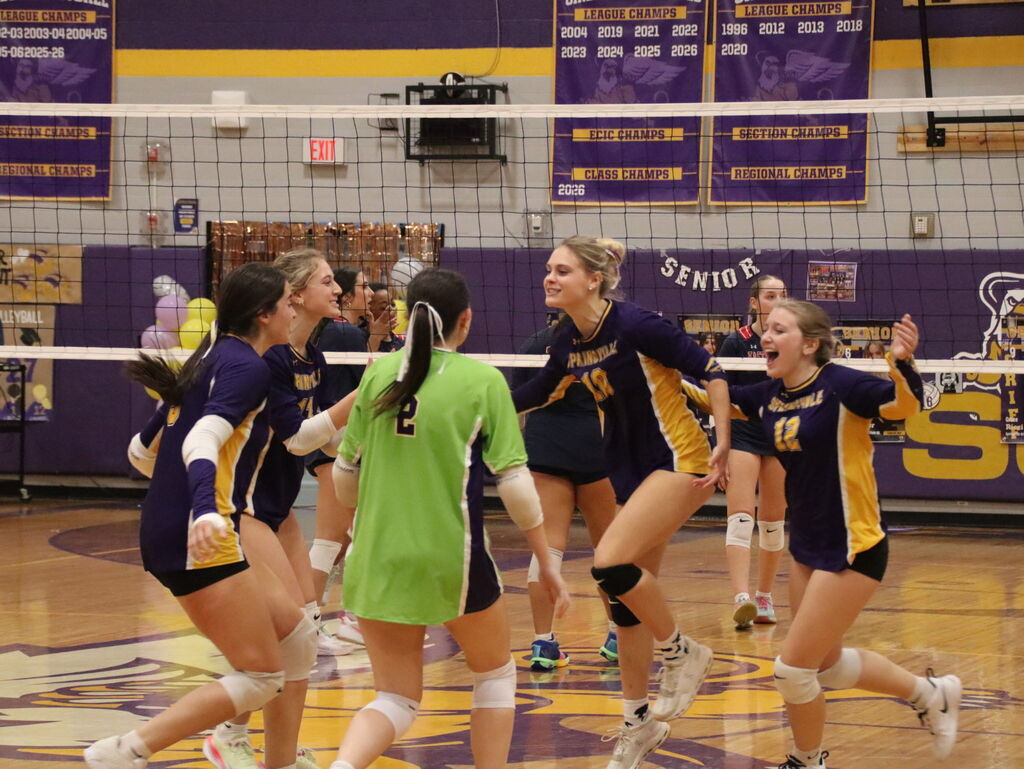 volleyball players at a game