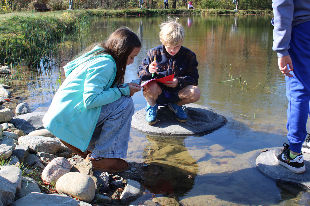 Students look into the pond