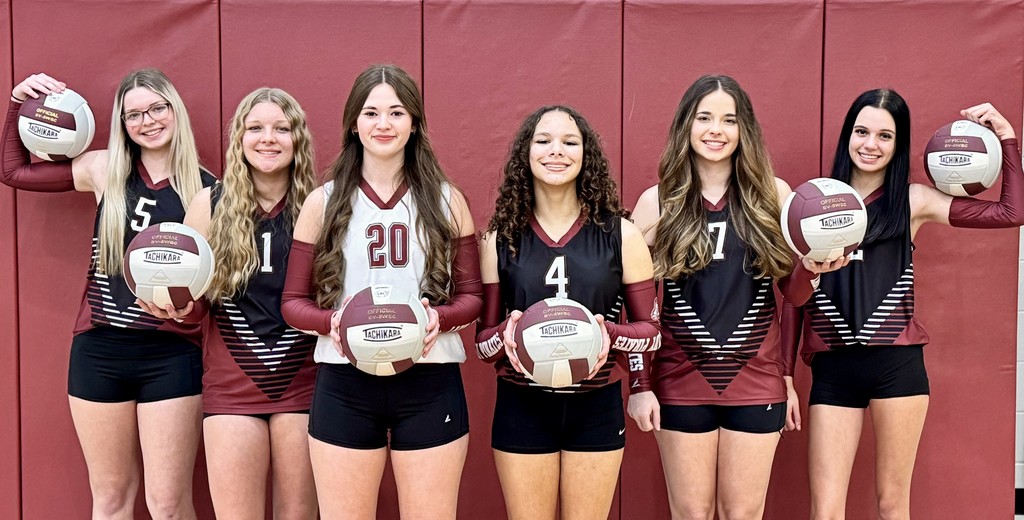 Volleyball All District