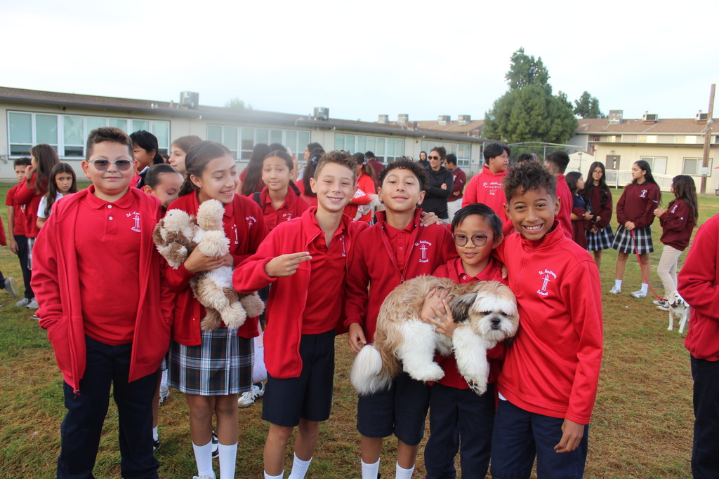 Blessing of the Animals 3