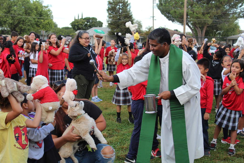 Blessing of the Animals 1