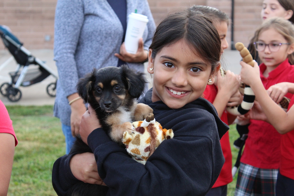 Blessing of the Animals 2