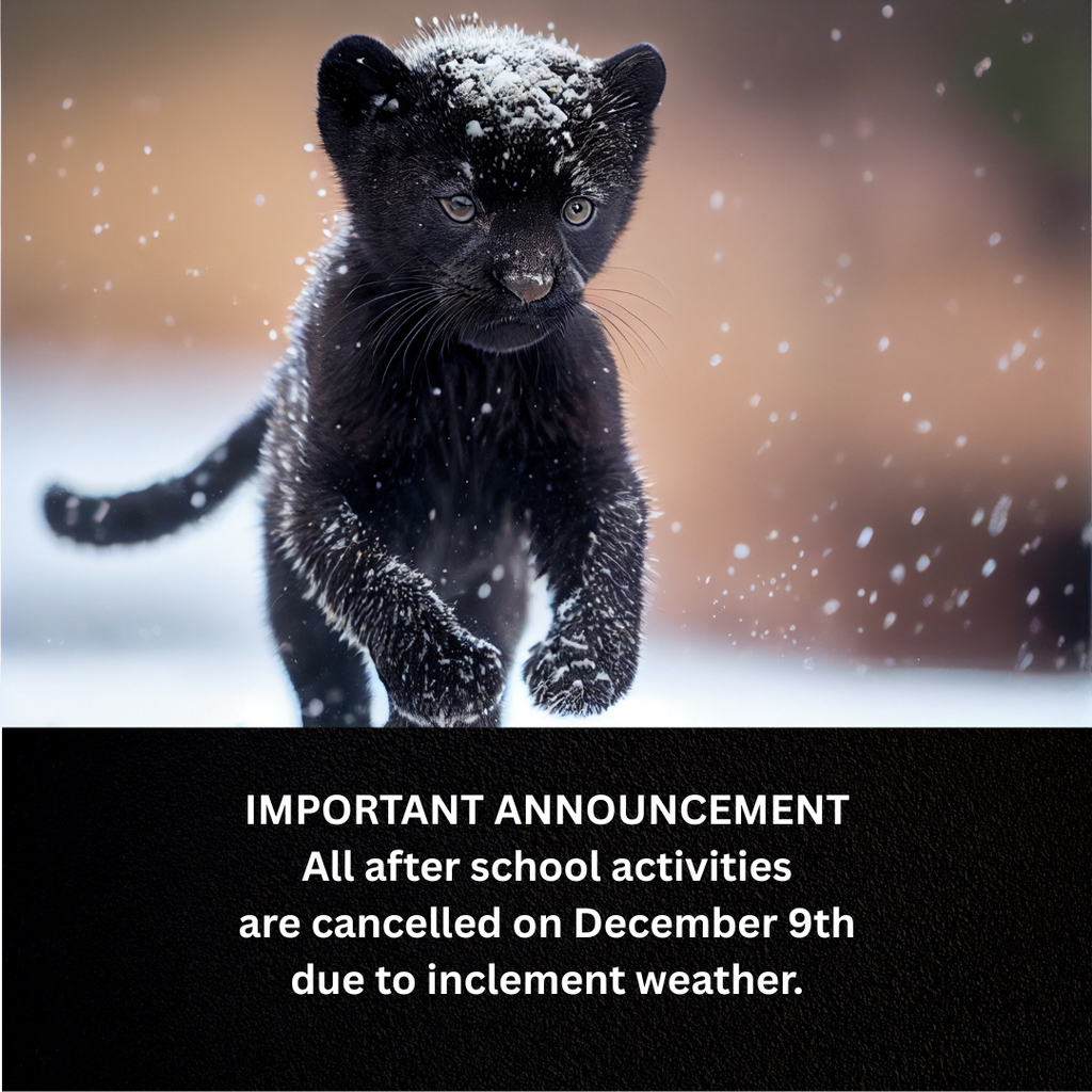 Inclement Weather - After school activities canceled, Tuesday, December 9th.