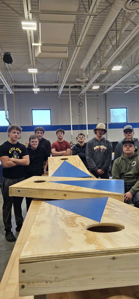 Panther Construction - Bean Bag Boards