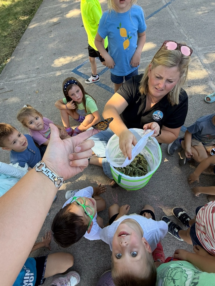 helping to release the butterfly.