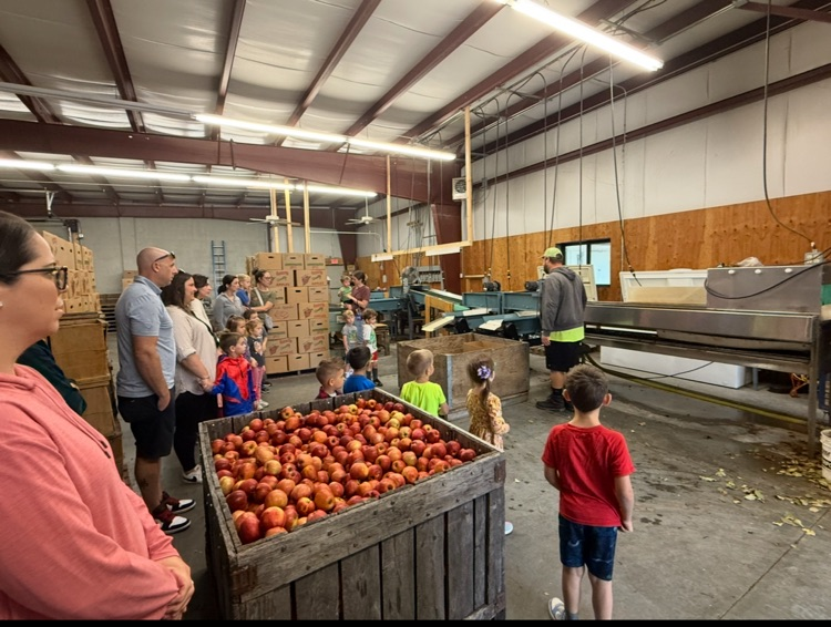 seeing how they wash and sort apples