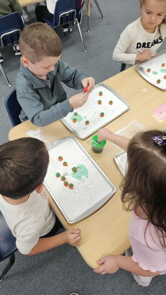 Those worked better. we just had to share since I only have 8 of them.