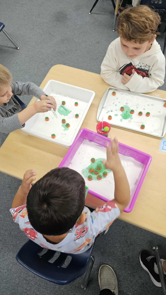 Their reactions to it were priceless!