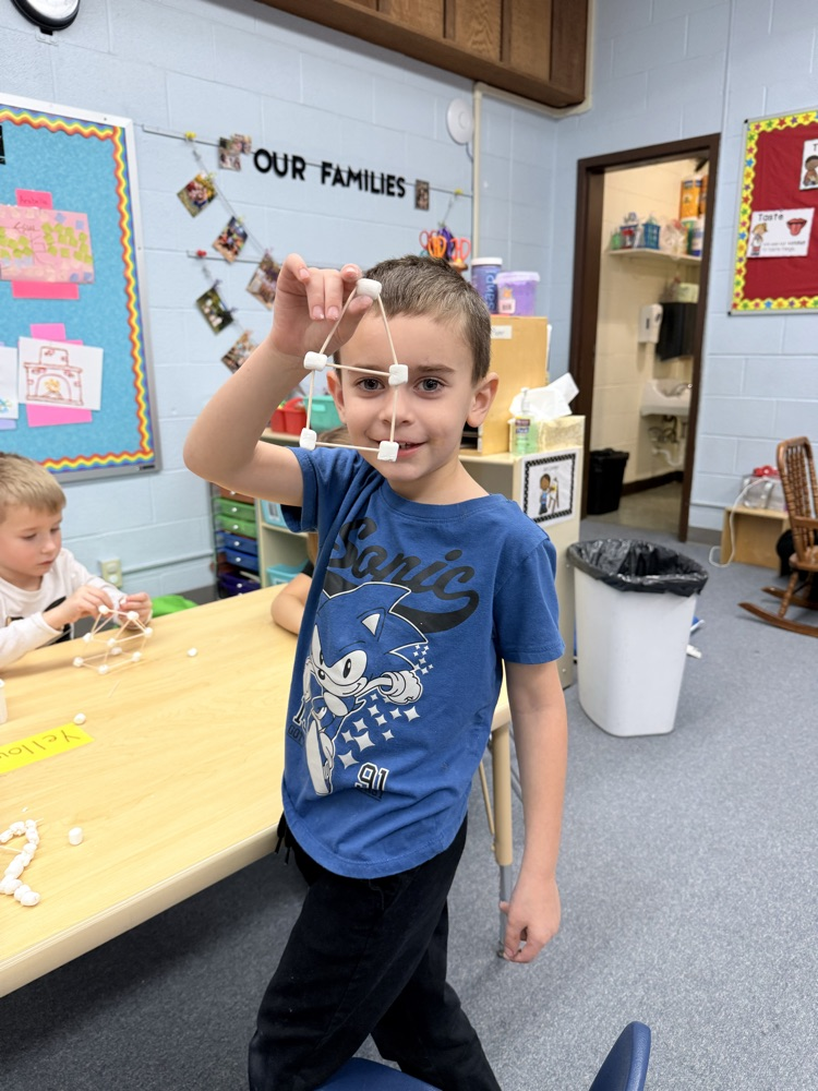 marshmallow and toothpick stem activity! 