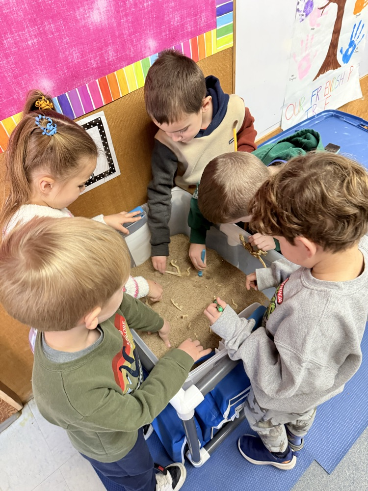 paleontologist digging up Dino bones