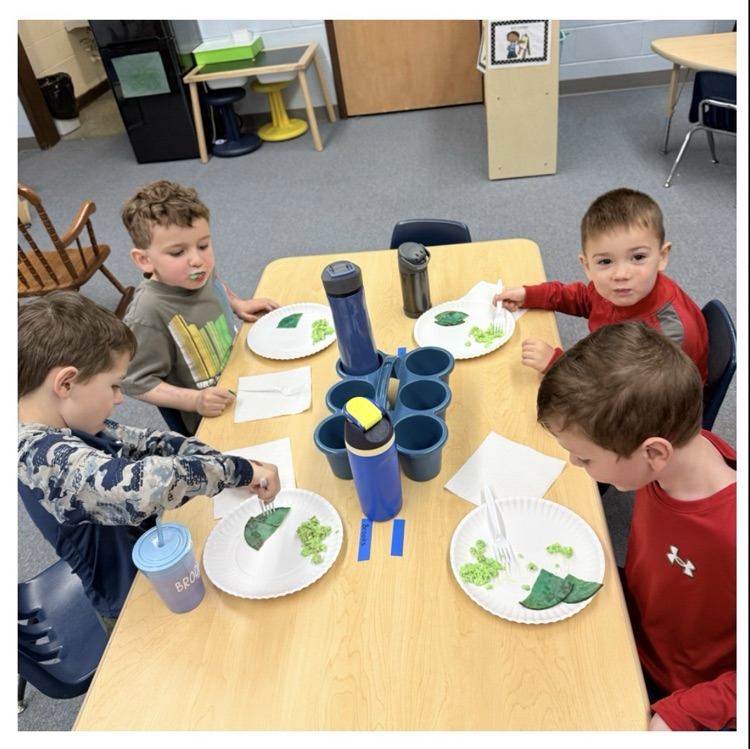 we made a graph to find out! 