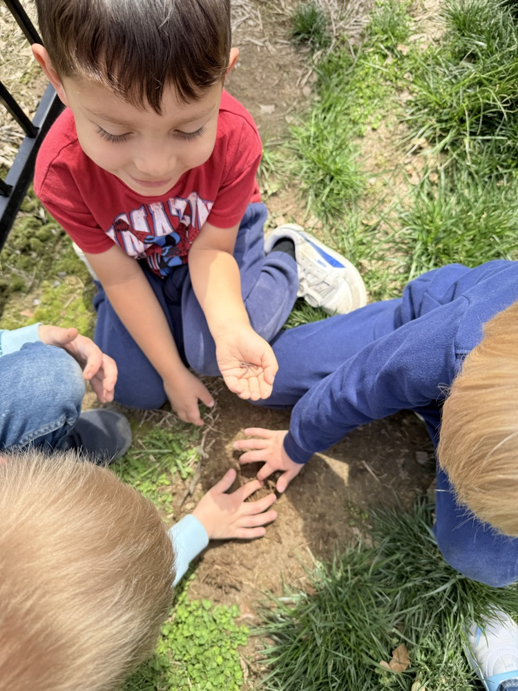 found a worm outside! 